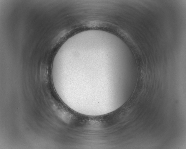X0000082160592200701191244