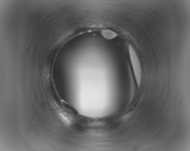X0000082160593200701191244
