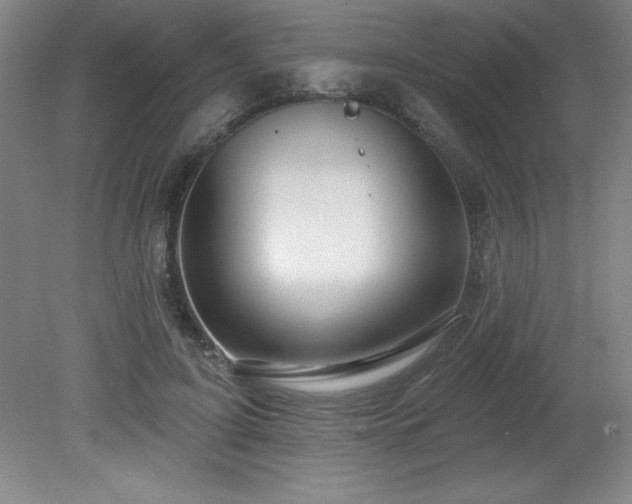 X0000082160595200701191243