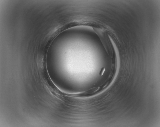 X0000082160596200701191243