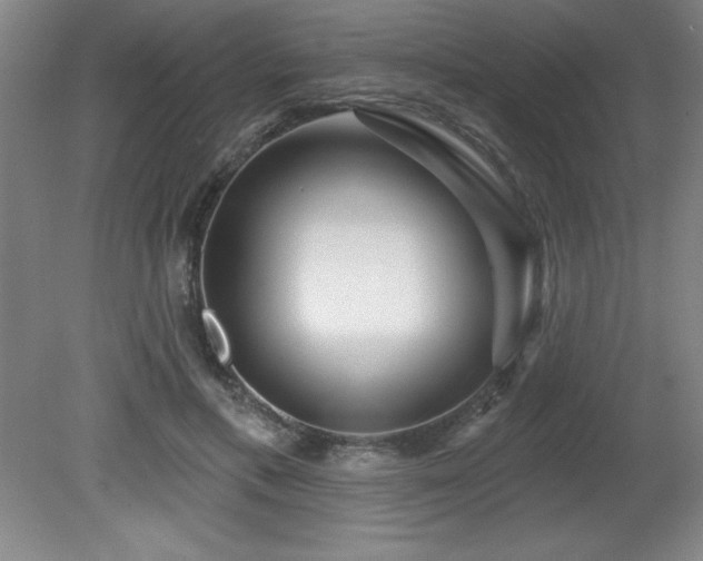 X0000082160597200701191243