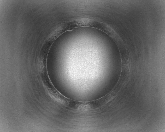 X0000082160599200701191243