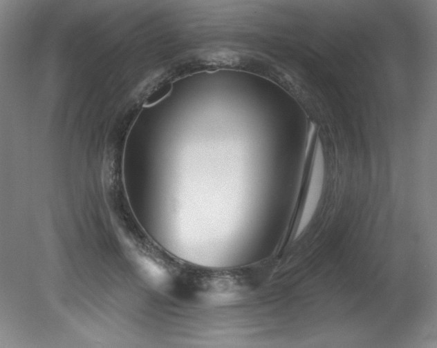 X0000082160600200701191243