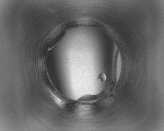 X0000082160601200701191243