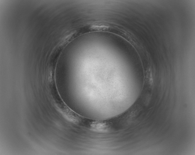 X0000082160602200701191243