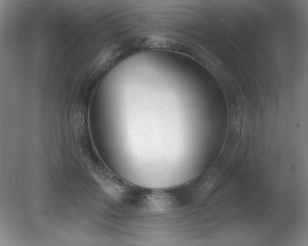 X0000082160603200701191243