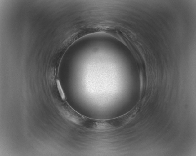 X0000082160605200701191243