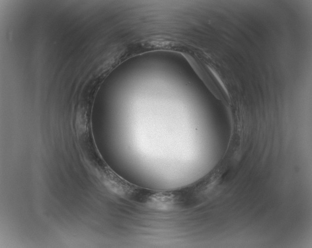 X0000082160606200701191243