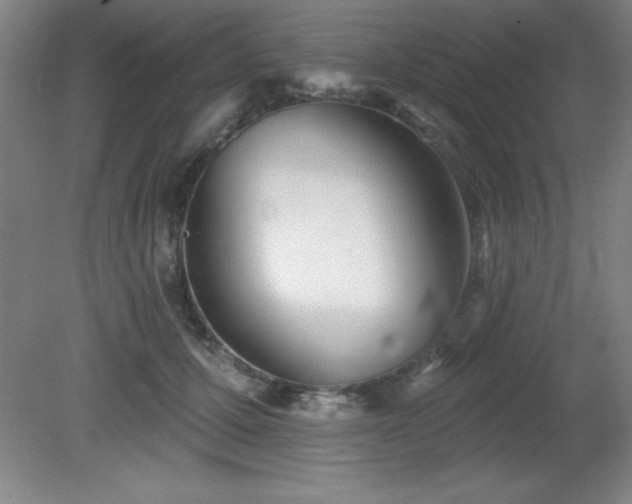 X0000082160607200701191243