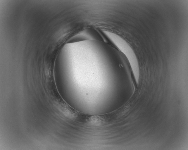 X0000082160608200701191243