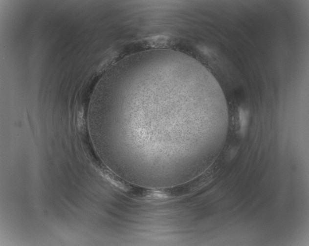 X0000082160610200701191243