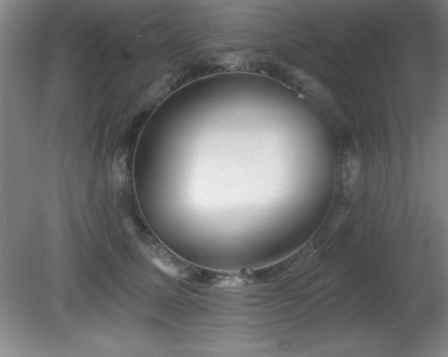 X0000082160611200701191243