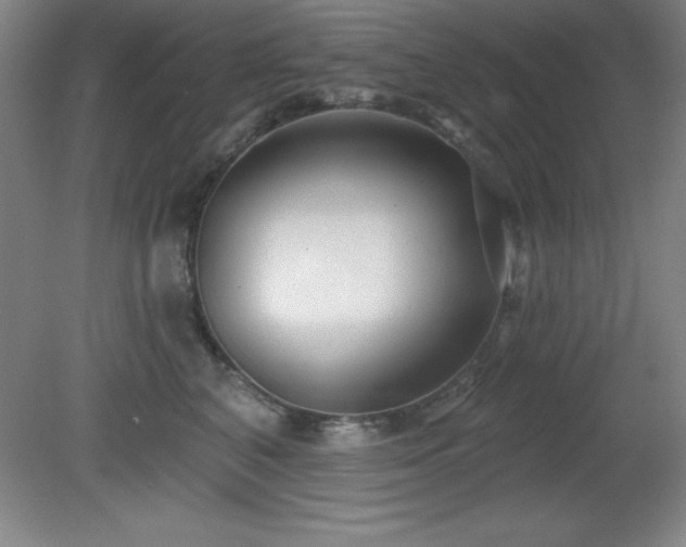 X0000082160616200701191243