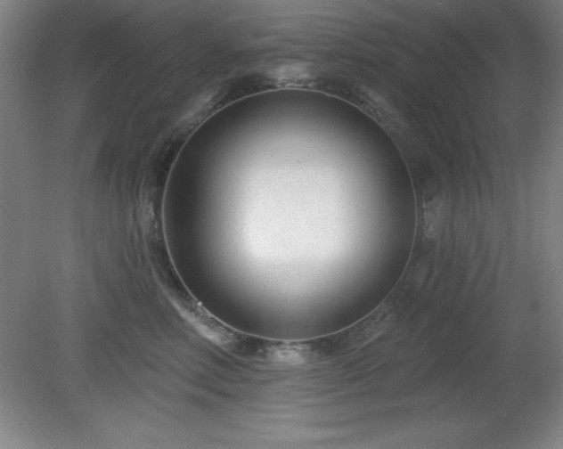 X0000082160618200701191243