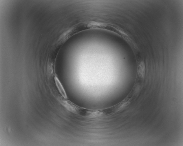 X0000082160621200701191243