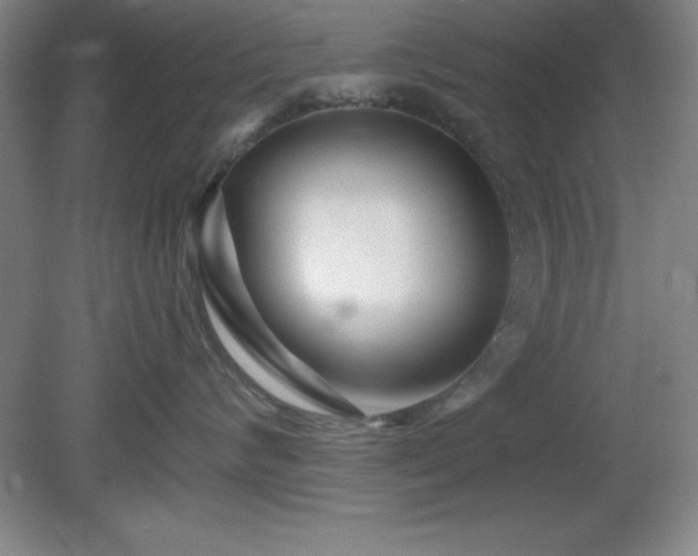 X0000082160624200701191243