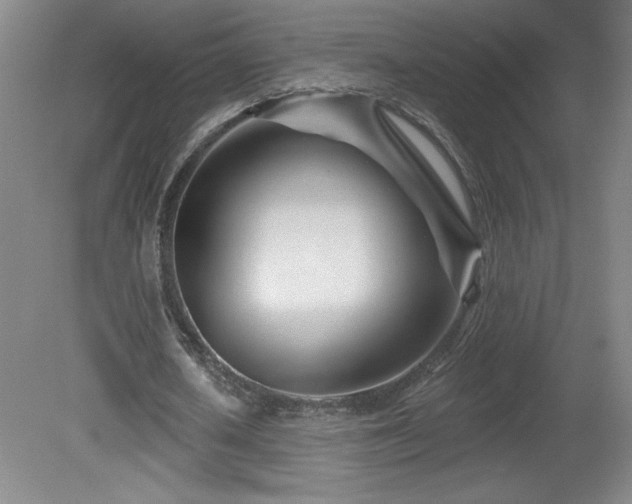 X0000082160626200701191242
