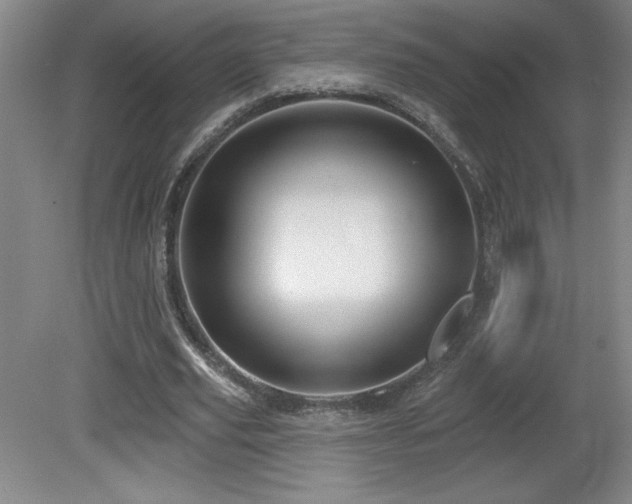 X0000082160629200701191242