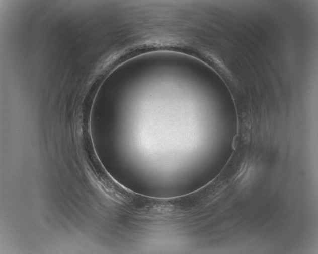 X0000082160631200701191242