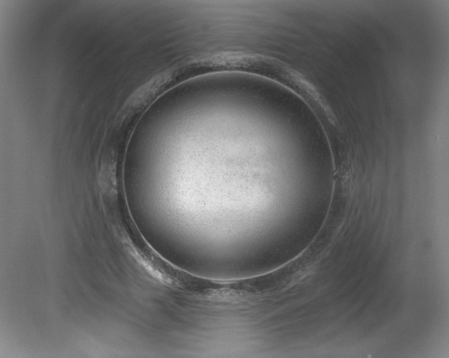 X0000082160633200701191242