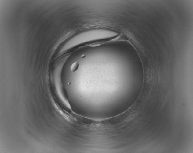 X0000082160634200701191242