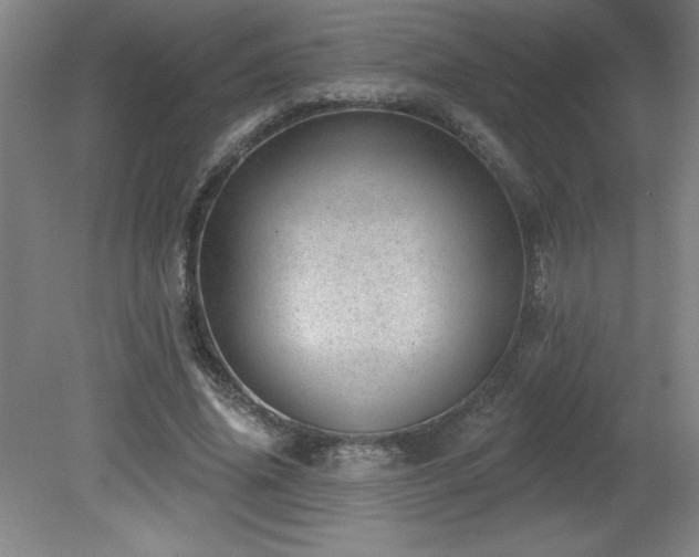X0000082160636200701191242