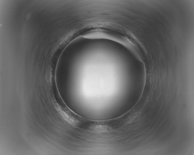 X0000082160637200701191242