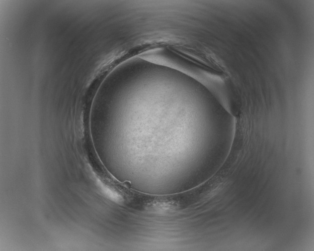 X0000082160638200701191242
