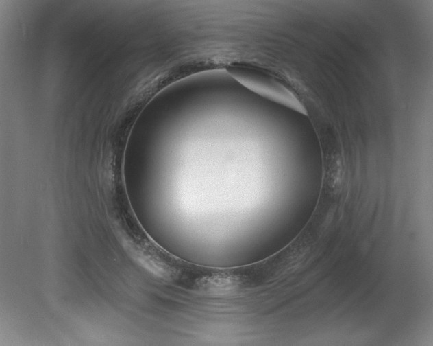 X0000082160639200701191242