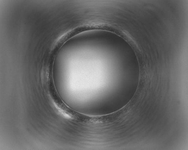 X0000082160640200701191242