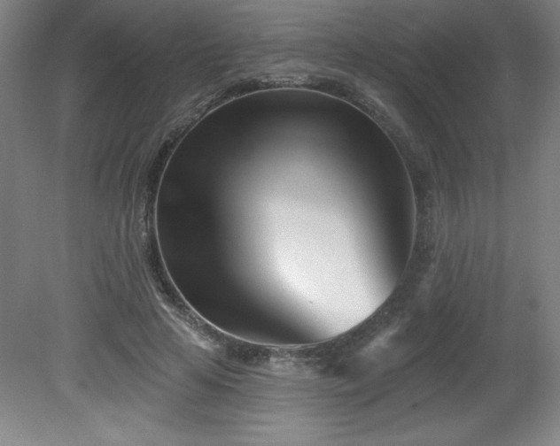 X0000082160641200701191242