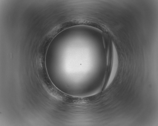 X0000082160643200701191242