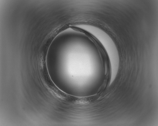X0000082160644200701191243