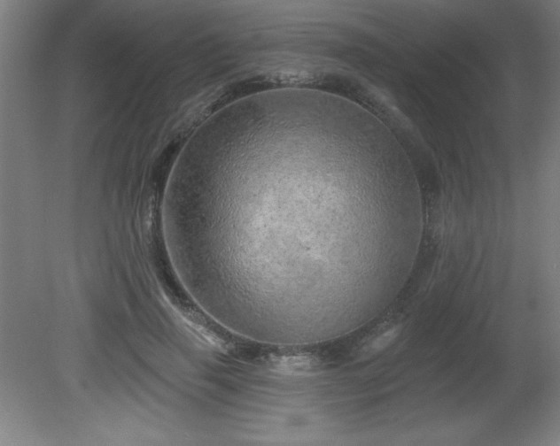 X0000082160645200701191243