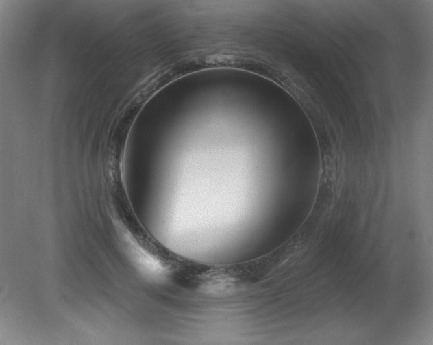 X0000082160648200701191243