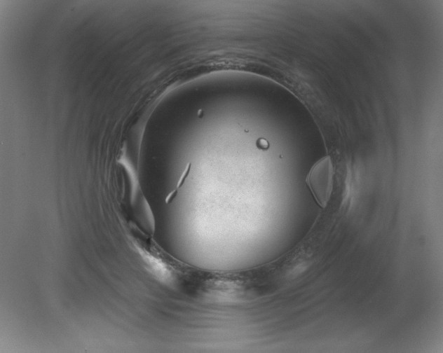 X0000082160649200701191243