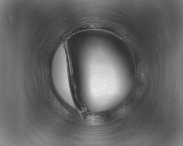 X0000082160650200701191243