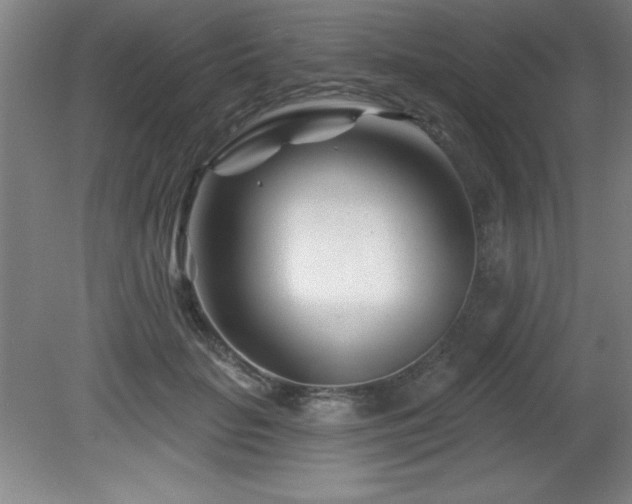 X0000082160653200701191243