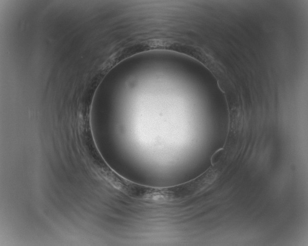 X0000082160655200701191243