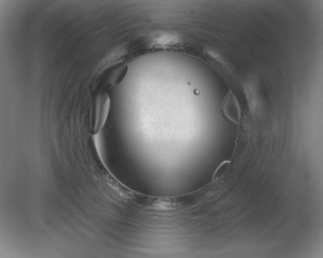 X0000082160657200701191243