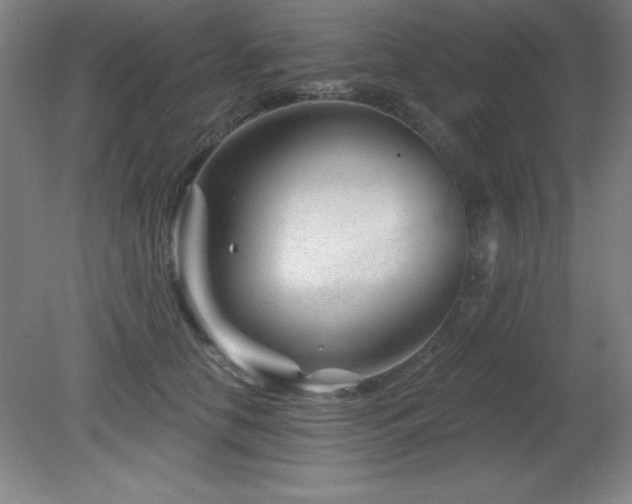 X0000082160658200701191243