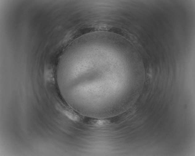 X0000082160663200701191243