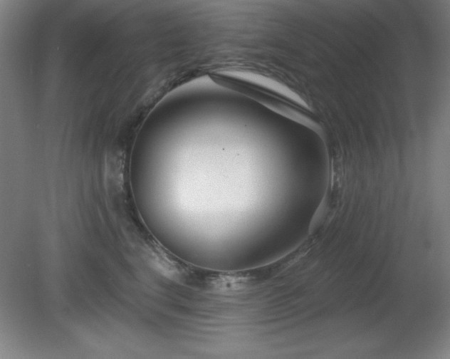 X0000082160664200701191243
