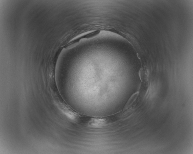 X0000082160665200701191243