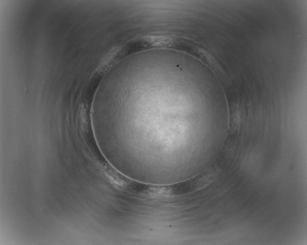 X0000082160667200701191243