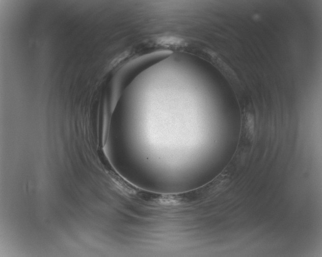 X0000082160668200701191243