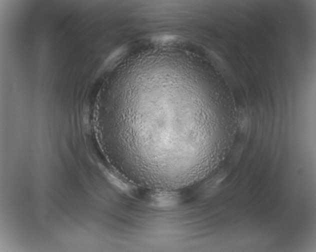 X0000082160670200701191243
