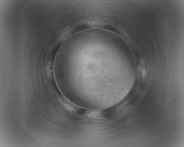 X0000082160671200701191243