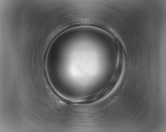 X0000082160673200701191242