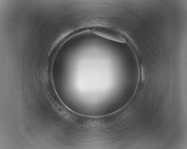 X0000082160675200701191242
